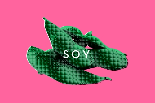 thetruthabout-soy